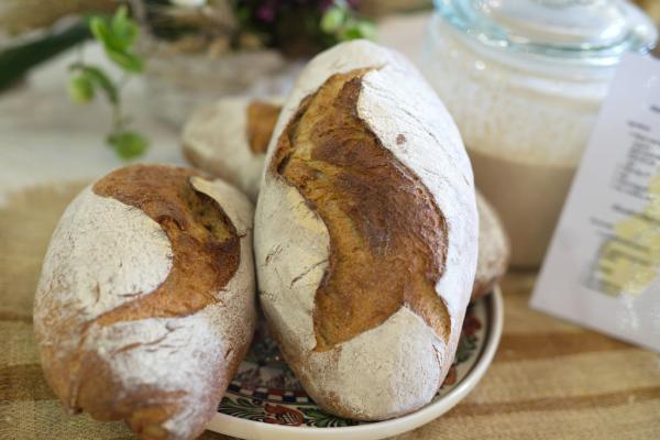 paine-artizanala-loc3